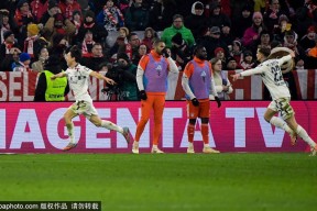 九州体育官网-拜仁慕尼黑豪取八连胜，掀起德甲风暴的简单介绍