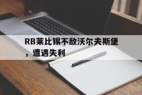 九州体育入口-vfb莱比锡