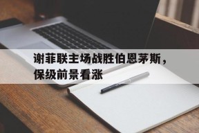 九州体育官网-谢菲联vs