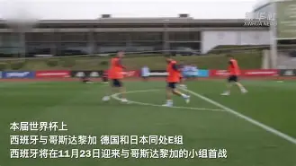 乌克兰国家队全力备战西班牙关键战术